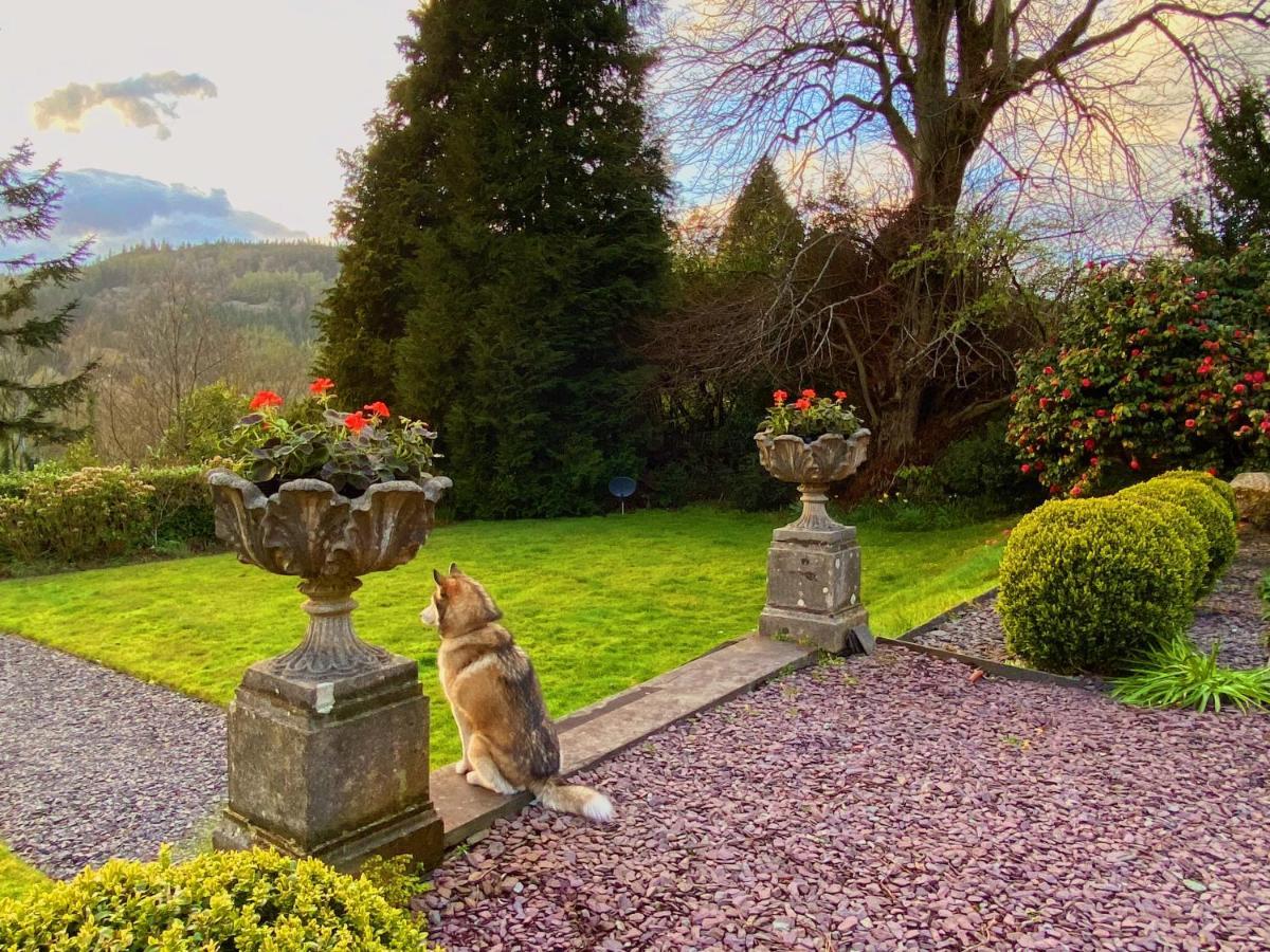 Tyn Y Fron 6 Bedroom House In Betws-Y-Coed Snowdonia Exteriér fotografie