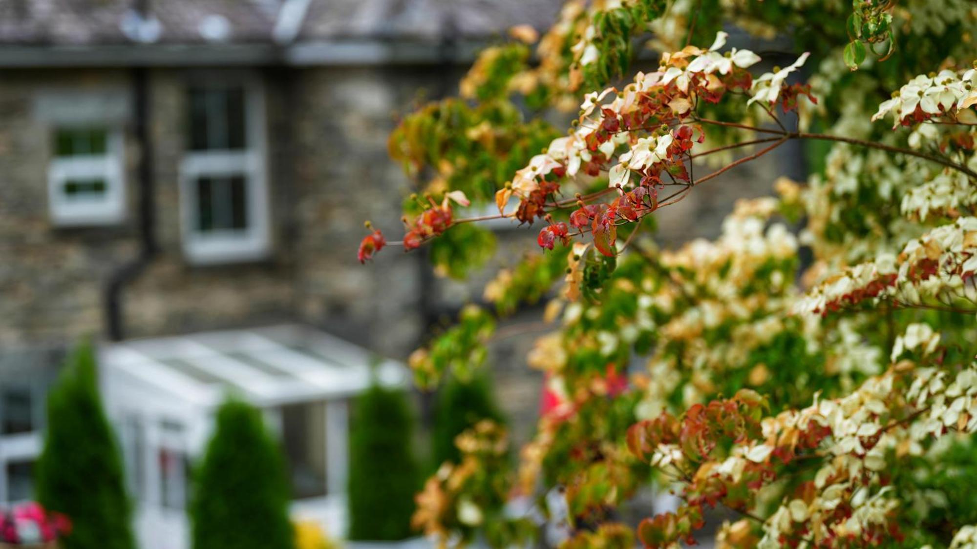 Tyn Y Fron 6 Bedroom House In Betws-Y-Coed Snowdonia Exteriér fotografie