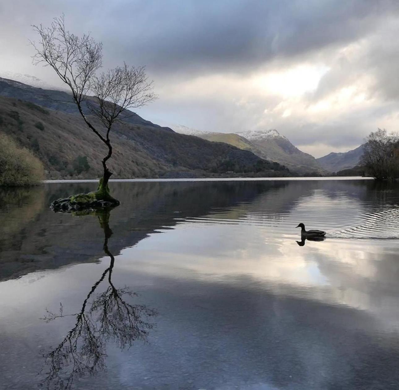 Tyn Y Fron 6 Bedroom House In Betws-Y-Coed Snowdonia Exteriér fotografie