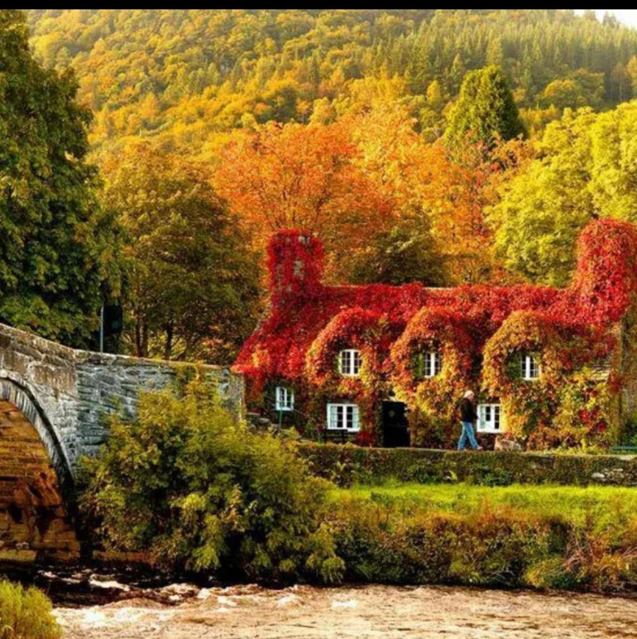 Tyn Y Fron 6 Bedroom House In Betws-Y-Coed Snowdonia Exteriér fotografie